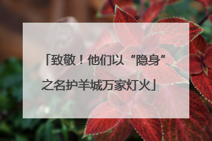 致敬！他们以“隐身”之名护羊城万家灯火