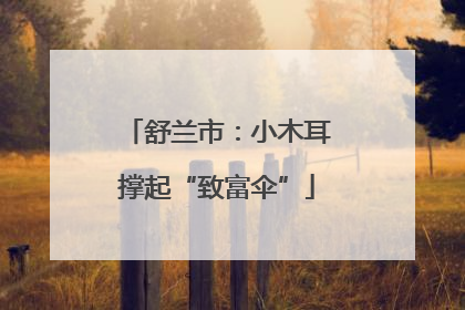 舒兰市：小木耳撑起“致富伞”