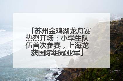 苏州金鸡湖龙舟赛热烈开场：小学生队伍首次参赛，上海龙获国际组冠亚军