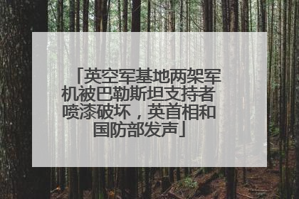 英空军基地两架军机被巴勒斯坦支持者喷漆破坏，英首相和国防部发声