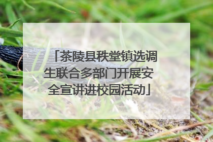 茶陵县秩堂镇选调生联合多部门开展安全宣讲进校园活动
