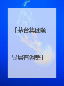茅台集团领导层有调整
