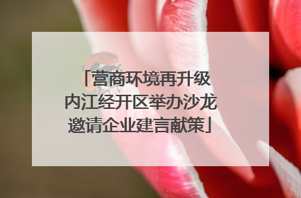营商环境再升级 内江经开区举办沙龙邀请企业建言献策