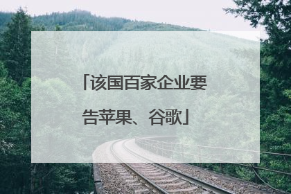 该国百家企业要告苹果、谷歌