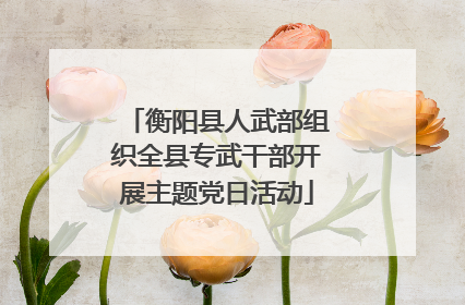 衡阳县人武部组织全县专武干部开展主题党日活动