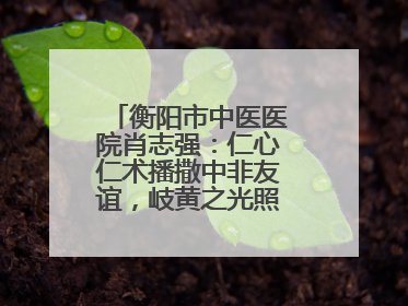 衡阳市中医医院肖志强：仁心仁术播撒中非友谊，岐黄之光照亮津巴大地