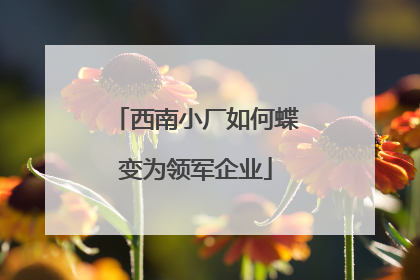 西南小厂如何蝶变为领军企业