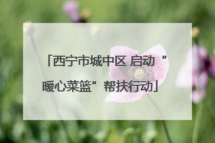 西宁市城中区 启动“暖心菜篮”帮扶行动