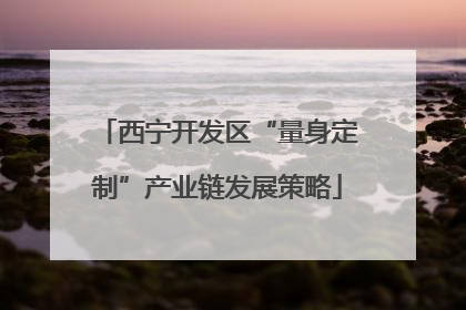 西宁开发区“量身定制”产业链发展策略