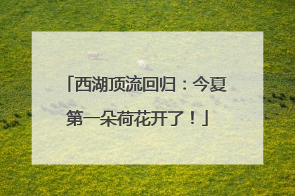 西湖顶流回归：今夏第一朵荷花开了！
