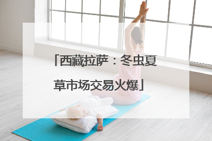 西藏拉萨：冬虫夏草市场交易火爆