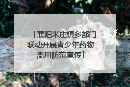 襄阳米庄镇多部门联动开展青少年药物滥用防范宣传