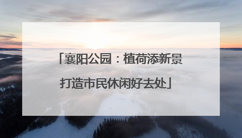 襄阳公园：植荷添新景 打造市民休闲好去处