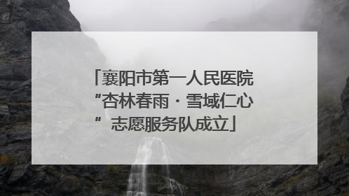 襄阳市第一人民医院“杏林春雨・雪域仁心”志愿服务队成立