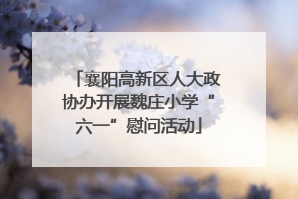 襄阳高新区人大政协办开展魏庄小学“六一”慰问活动