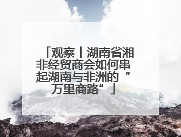 观察丨湖南省湘非经贸商会如何串起湖南与非洲的“万里商路”