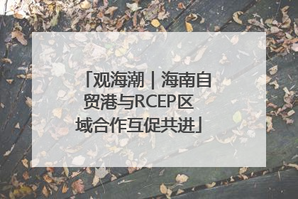 观海潮｜海南自贸港与RCEP区域合作互促共进
