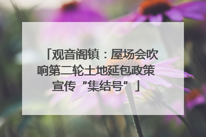 观音阁镇：屋场会吹响第二轮土地延包政策宣传“集结号”