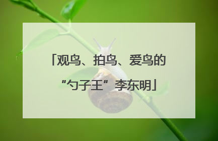 观鸟、拍鸟、爱鸟的“勺子王”李东明