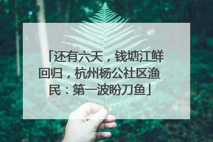 还有六天，钱塘江鲜回归，杭州杨公社区渔民：第一波盼刀鱼