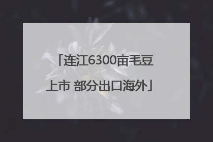 连江6300亩毛豆上市 部分出口海外