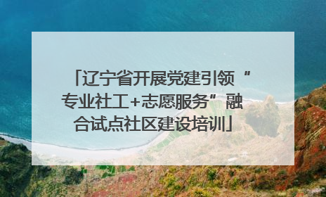 辽宁省开展党建引领“专业社工+志愿服务”融合试点社区建设培训