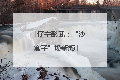 辽宁彰武：“沙窝子”焕新颜