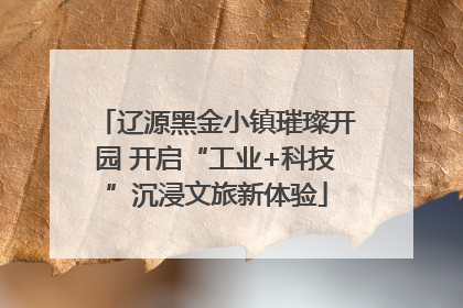 辽源黑金小镇璀璨开园 开启“工业+科技”沉浸文旅新体验