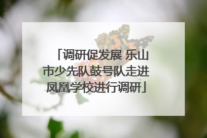 调研促发展 乐山市少先队鼓号队走进凤凰学校进行调研