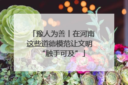 豫人为善丨在河南这些道德模范让文明“触手可及”
