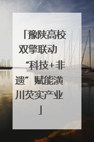豫陕高校双擎联动 “科技+非遗”赋能潢川芡实产业