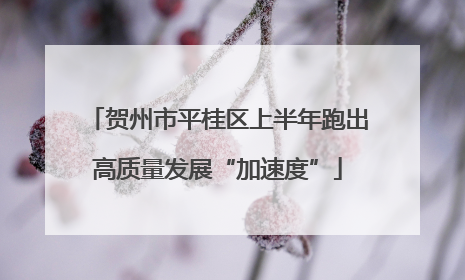 贺州市平桂区上半年跑出高质量发展“加速度”