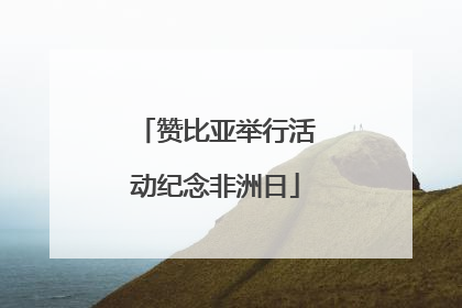 赞比亚举行活动纪念非洲日