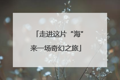 走进这片“海”来一场奇幻之旅