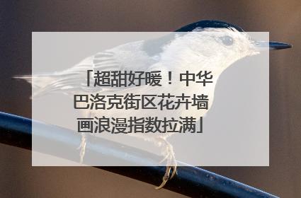 超甜好暖！中华巴洛克街区花卉墙画浪漫指数拉满