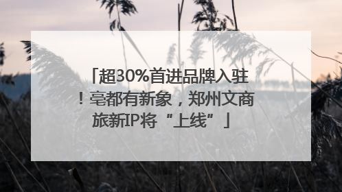 超30%首进品牌入驻！亳都有新象，郑州文商旅新IP将“上线”