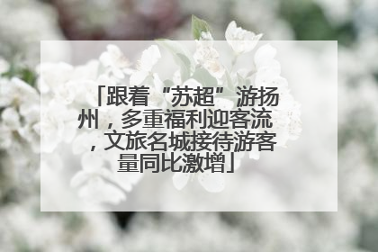 跟着“苏超”游扬州，多重福利迎客流，文旅名城接待游客量同比激增