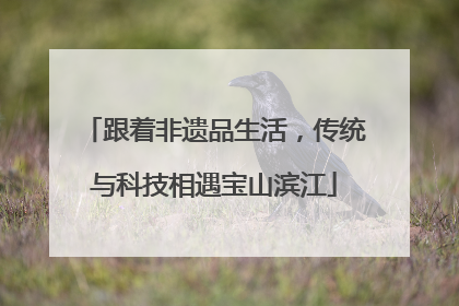 跟着非遗品生活，传统与科技相遇宝山滨江