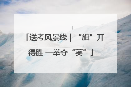 送考风景线｜“旗”开得胜 一举夺“葵”