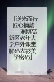 逆光而行 匠心捕韵——淄博高新区老年大学户外课堂解码光影美学密码