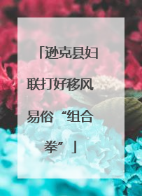 逊克县妇联打好移风易俗“组合拳”