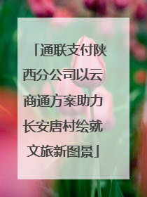通联支付陕西分公司以云商通方案助力长安唐村绘就文旅新图景