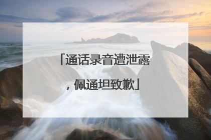 通话录音遭泄露，佩通坦致歉