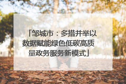邹城市：多措并举以数据赋能绿色低碳高质量政务服务新模式
