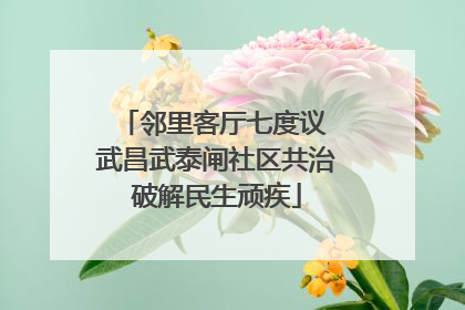 邻里客厅七度议 武昌武泰闸社区共治破解民生顽疾