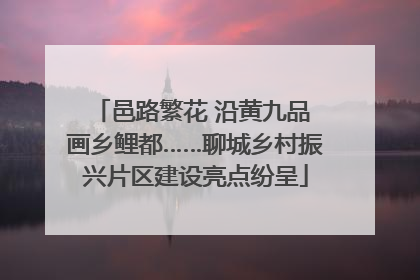 邑路繁花 沿黄九品 画乡鲤都……聊城乡村振兴片区建设亮点纷呈