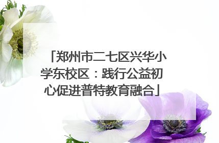 郑州市二七区兴华小学东校区：践行公益初心促进普特教育融合