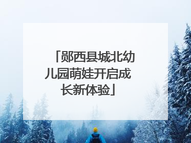 郧西县城北幼儿园萌娃开启成长新体验