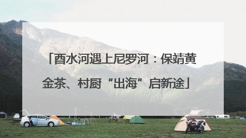 酉水河遇上尼罗河：保靖黄金茶、村厨“出海”启新途