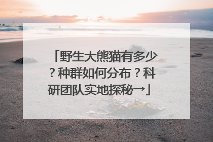 野生大熊猫有多少？种群如何分布？科研团队实地探秘→
